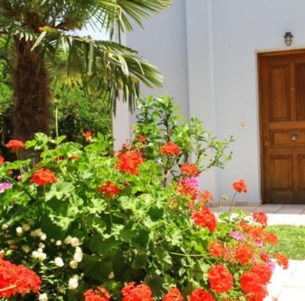 Bed and breakfast Mouria & 3*